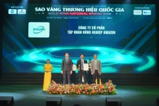 t  p   o  n n ng nghi p amazon    d  u   n th   ng hi u vi t tr  n h  nh tr  nh chinh ph c top 10 sao v  ng th   ng hi u qu  c gia 2026