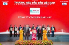 haplast group g  p m  t trong top 10 th   ng hi u d  n     u tr  n h nh tr nh ph  t tri  n bao b  b  n v  ng