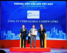 cong ty tnhh global cashew links xuat sac dat danh hieu top 10 thuong hieu dan dau viet nam 2023  vietnam leading brands lan thu x