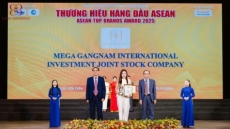 ph  ng kh  m mega gangnam v  d   u    n th   ng hi u tr   h  a vi t t   i l  trao gi   i asean top brands award 2025