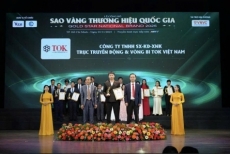 c ng ty tnhh sx kd xnk tr c truy  n    ng v   v ng bi tok vi t nam    d  u   n huy ch   ng v  ng cho ch  t l    ng ph  t ng   t  vi t nam