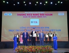 h ng c    ng tok vinh d  nh  n gi   i    top 10 th   ng hi u ti  u bi u h  ng     u asean 2025   