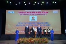 t n g  vi t xu  t s  c    n nh  n gi   i th    ng    huy ch   ng v  ng s   n ph   m ch  t l    ng h  ng     u asean 2025   